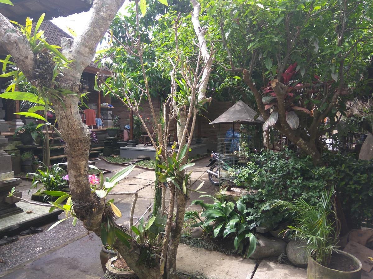 The Hidden Bali Inn Ubud Exterior foto